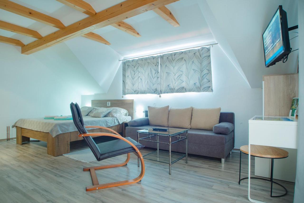 Studio Apartment Karlo Dreznik Grad ภายนอก รูปภาพ
