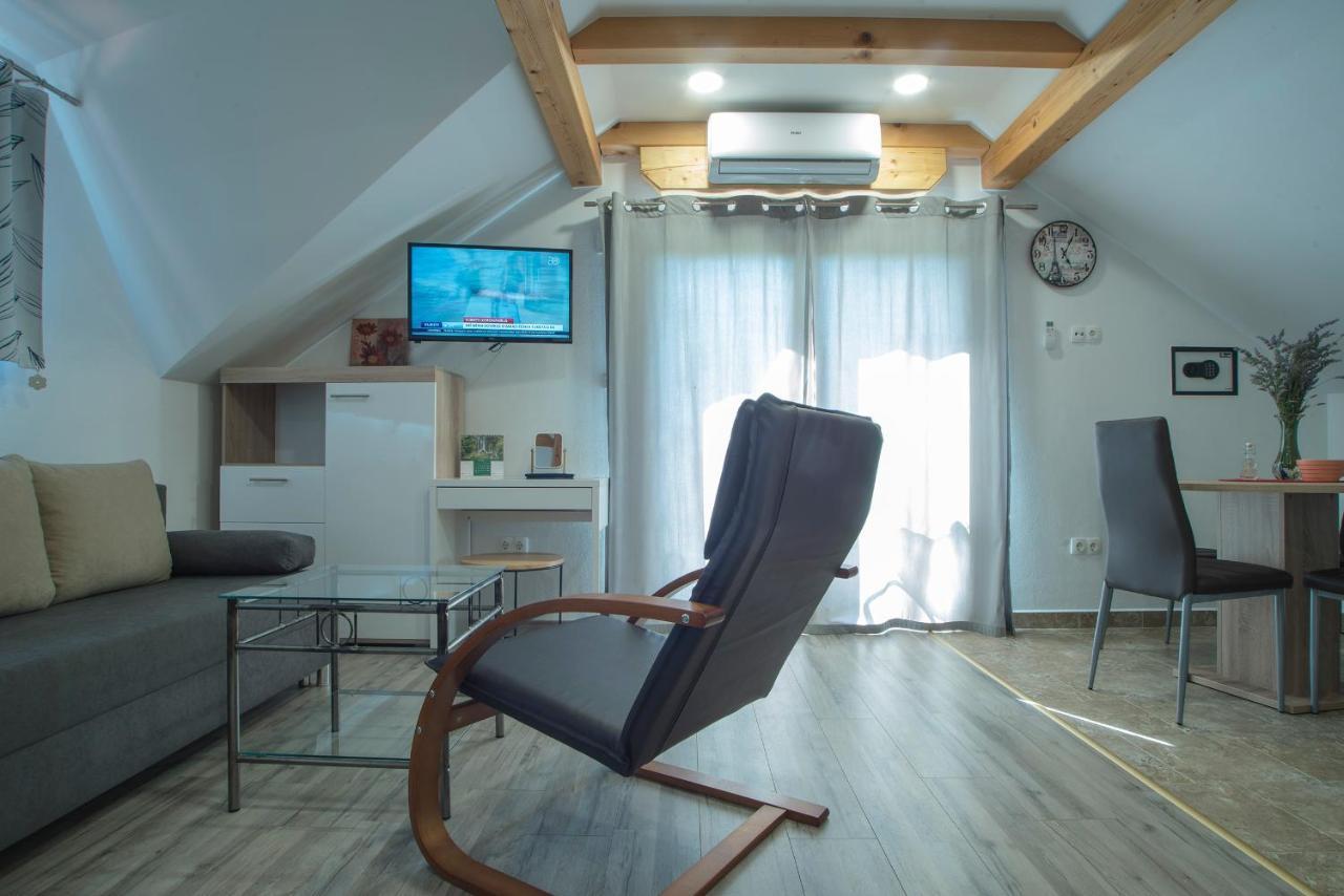 Studio Apartment Karlo Dreznik Grad ภายนอก รูปภาพ