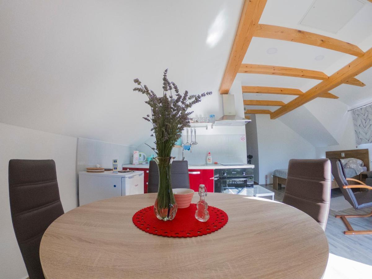 Studio Apartment Karlo Dreznik Grad ภายนอก รูปภาพ